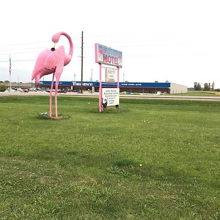 Flamingo Motel 马歇尔敦 外观 照片